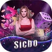 Sảnh game rr88seo với nhiều lựa chọn slot online và casino dành cho người chơi Việt Nam